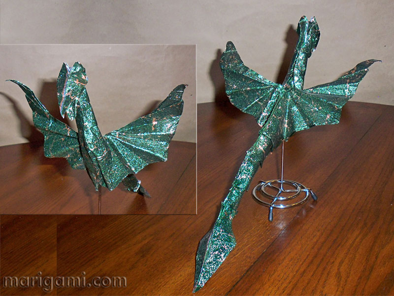 dragon-Stamm.jpg