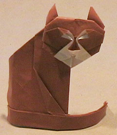 Cat by Gilad Aharoni